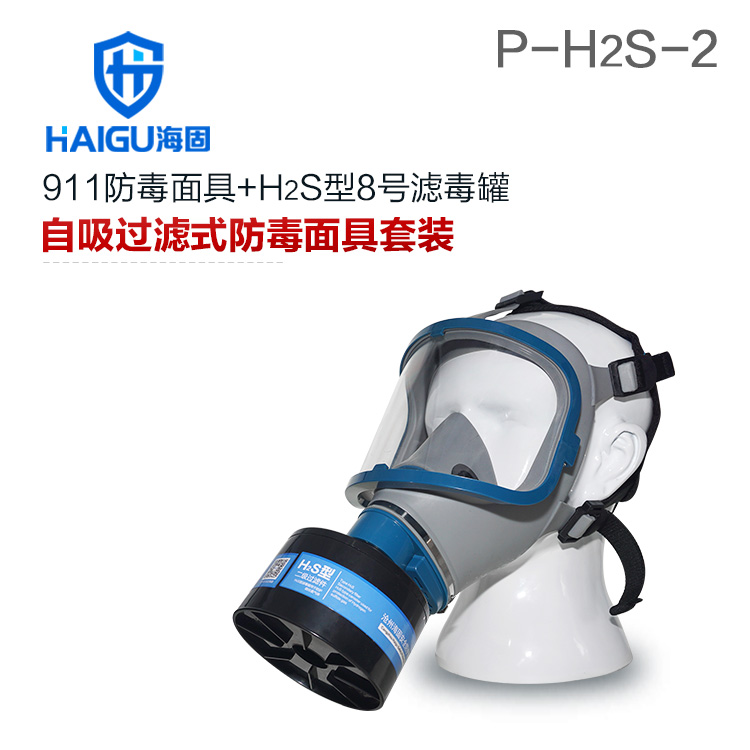 海固911全面罩+HG-ABS/P-H2S-2滤毒罐 硫化氢活性炭防毒面具